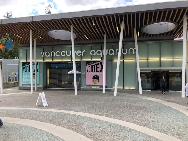 Fun things to do in Vancouver - The Vancouver Aquarium
